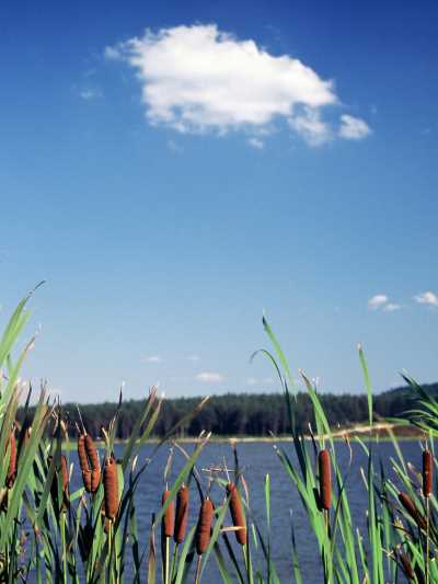 Topuk Yaylası ve Göleti